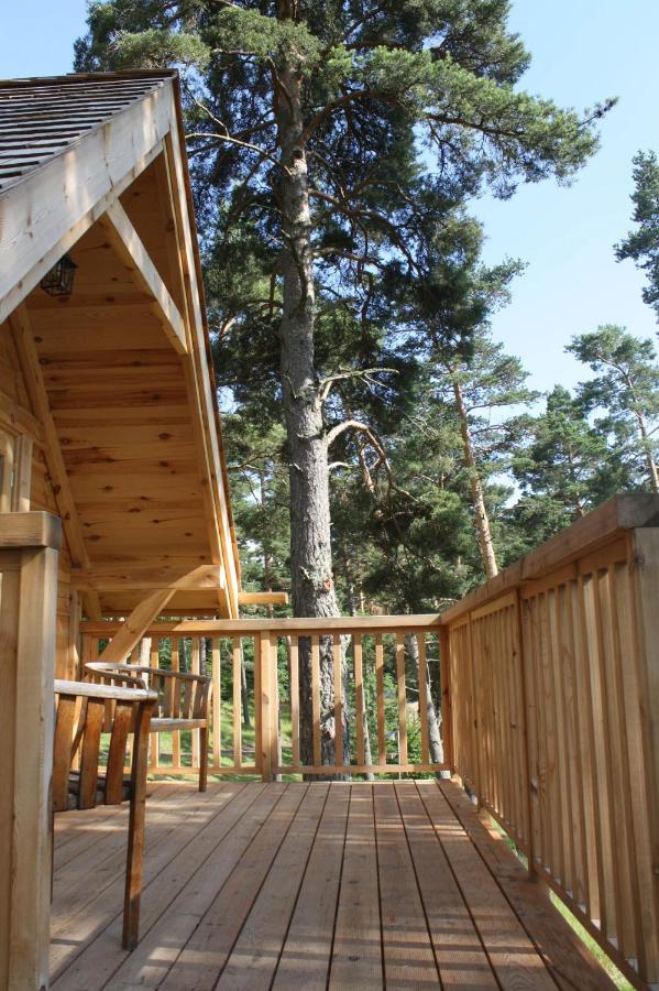 Cabane Lodge Domaine Du Lac Chambon Murol Eksteriør billede