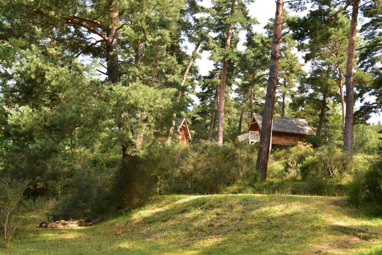 Cabane Lodge Domaine Du Lac Chambon Murol Eksteriør billede